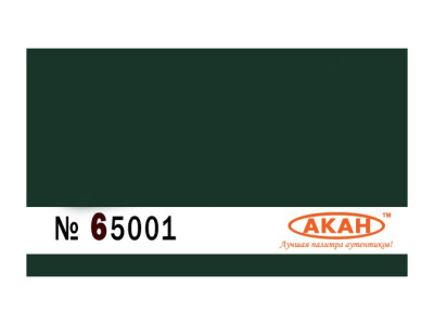 65001 3