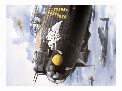 BF-008-8