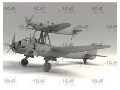 ICM48101 4