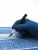 JAS_4015_5 JAS_4015_5