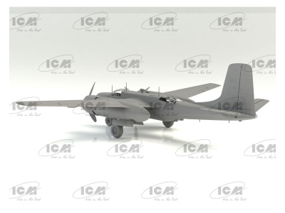 ICM48287 5