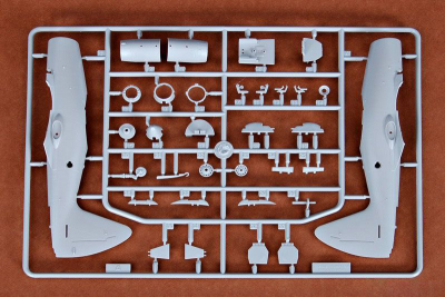 T01619 1