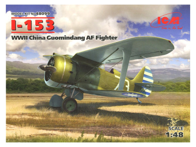 ICM48099
