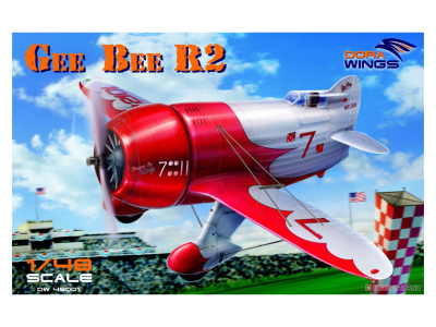 DW48001 DW48001