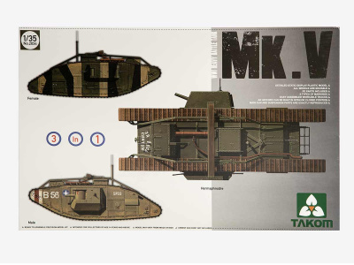 TAK-2034-1