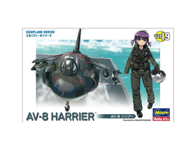 H60129 H60129